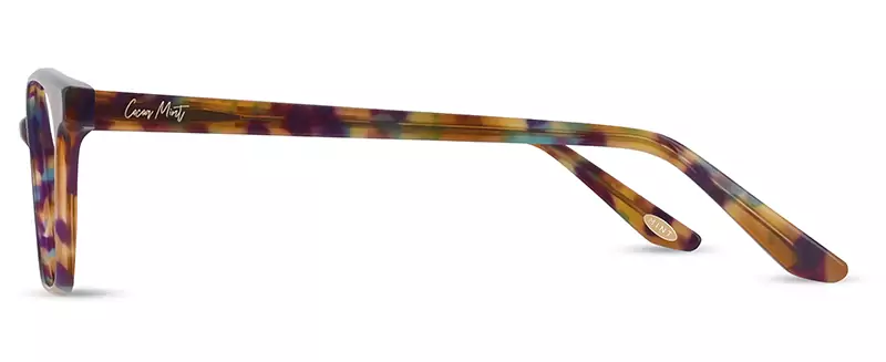 CM9206 - Image 2