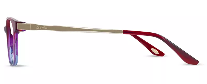CM9205 - Image 2