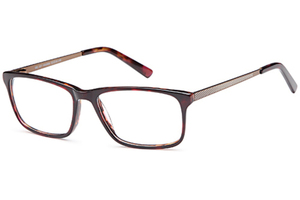 Delancy 107 Gents Acetate Frame